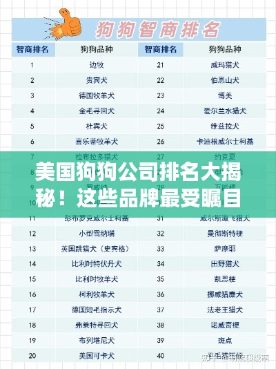 美國狗狗公司排名大揭秘！這些品牌最受矚目！