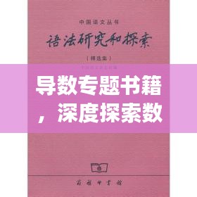 導(dǎo)數(shù)專題書籍，深度探索數(shù)學(xué)之美的奧秘之旅