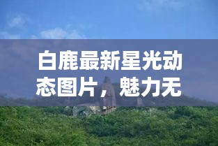 白鹿最新星光動態(tài)圖片，魅力無限，光彩奪目